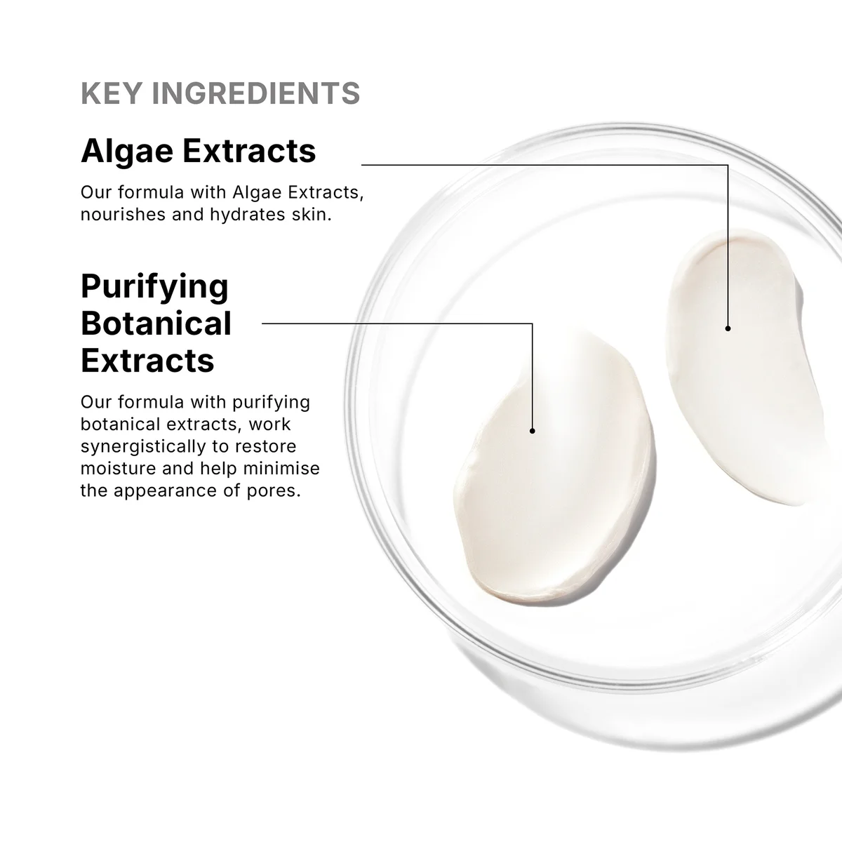 Купить SKINCEUTICALS Daily Moisture Cream Pot на Beautystorage.ru. Быстрая доставка по России и СНГ.