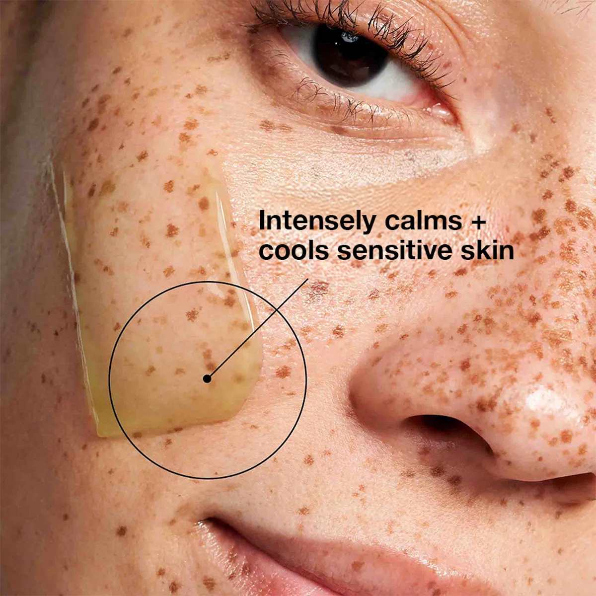 Купить SKINCEUTICALS Phyto Corrective Masque Gelна Beautystorage.ru. Быстрая доставка по России и СНГ.