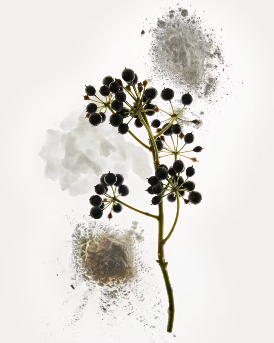 GLOSSIER Refillable Aluminum-Free Deodorant GLOSSIER Refillable Aluminum-Free Deodorant купить в Beauty Storage. Быстрая доставка по России и СНГ.