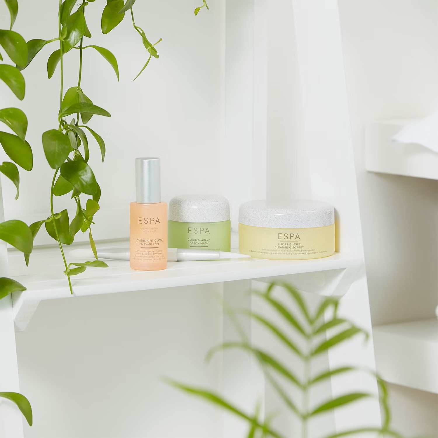 ESPA Yuzu & Ginger Cleansing Sorbet купить в Beauty Storage. Быстрая доставка по России и СНГ.