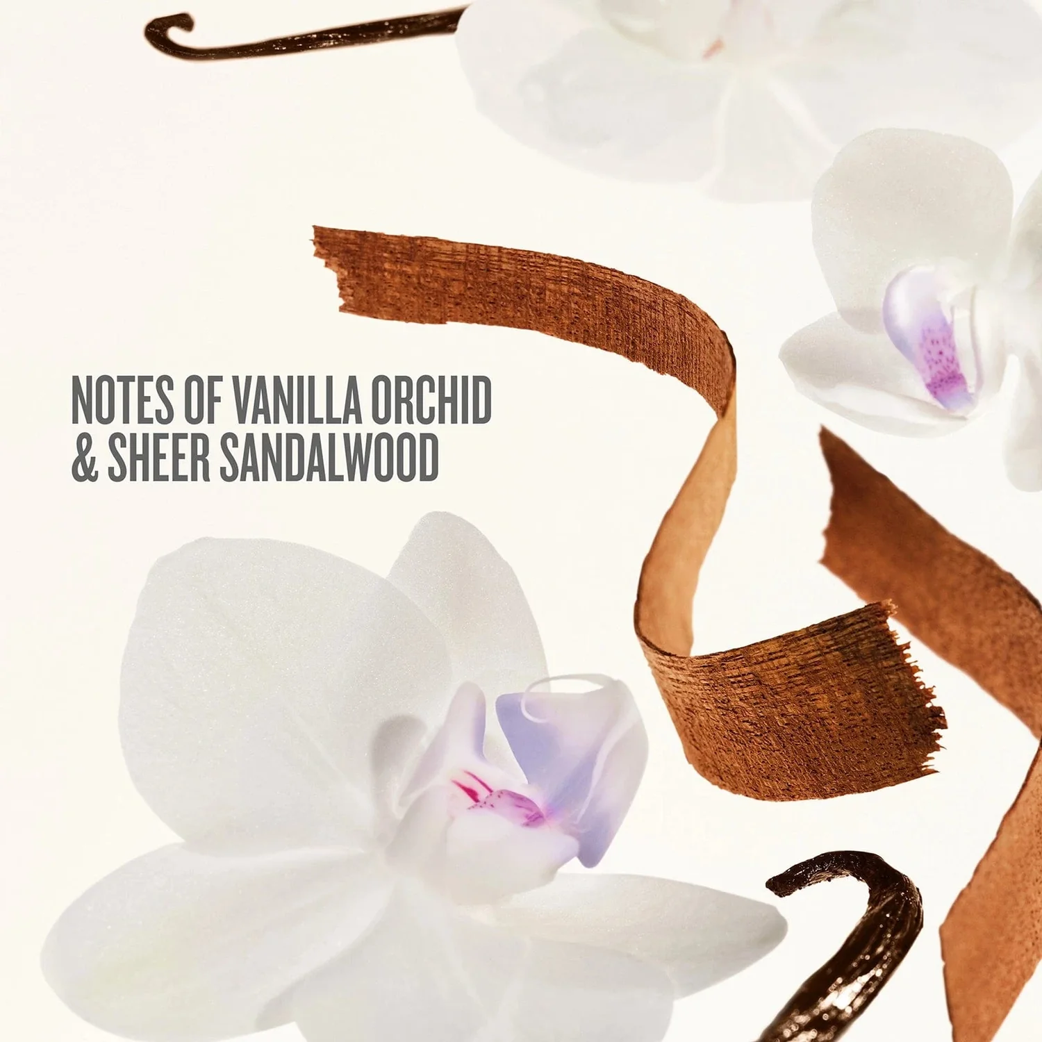 SOL DE JANEIRO Drench & Dazzle Delícia Drench™ Body Routine Set купить в Beauty Storage. Быстрая доставка по России и СНГ.