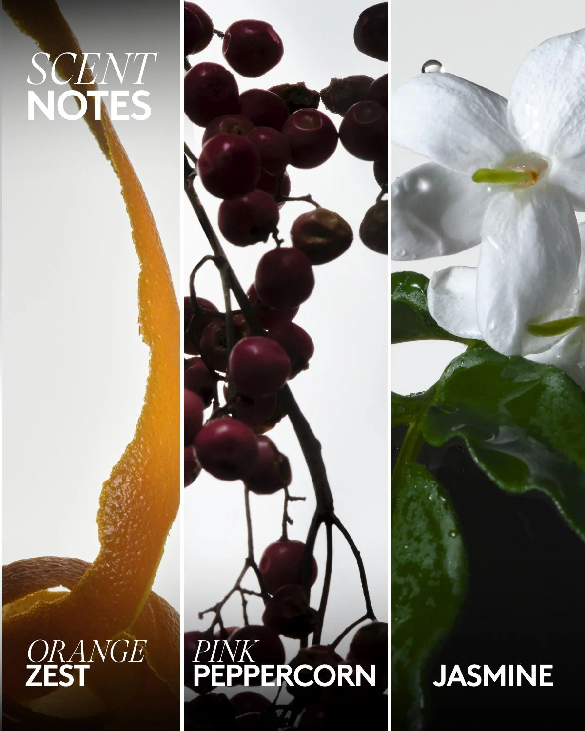 Купить FENTY SKIN Rich Dip Bubble Bath на Beautystorage.ru. Быстрая доставка по России и СНГ.