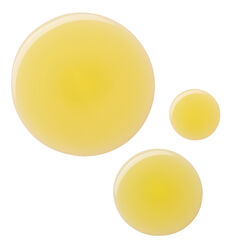 Купить BUMBLE AND BUMBLE Styling Oil Lightweight Hair Oil with Heat Protectant на Beautystorage.ru. Быстрая доставка по России и СНГ.