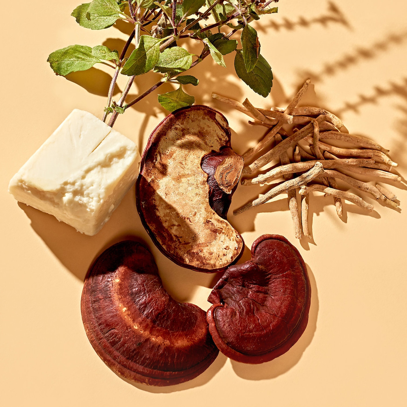 YOUTH TO THE PEOPLE Adaptogen Deep Moisture Cream with Ashwagandha + Reishi купить в Beauty Storage. Быстрая доставка по России и СНГ.
