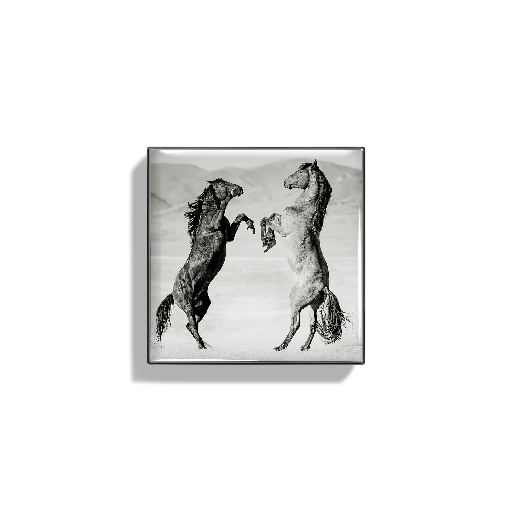 CHANTECAILLE Luminescent Eye Shade - Wild Mustang Collection купить в Beauty Storage. Быстрая доставка по России и СНГ.
