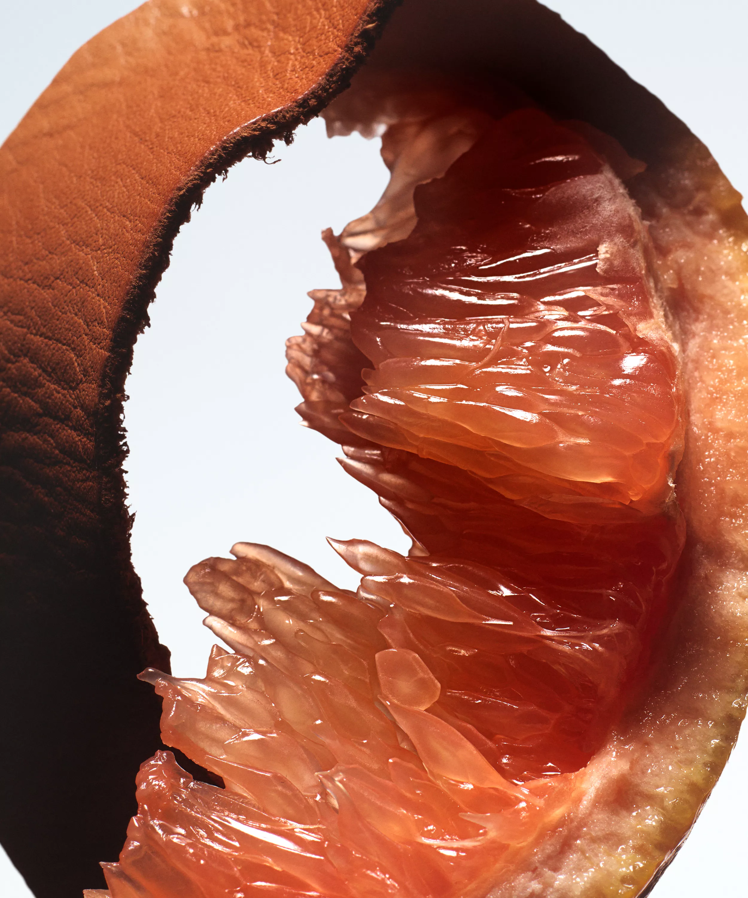 DRIES VAN NOTEN Bitter Splash Eau de Parfum купить в Beauty Storage. Быстрая доставка по России и СНГ.