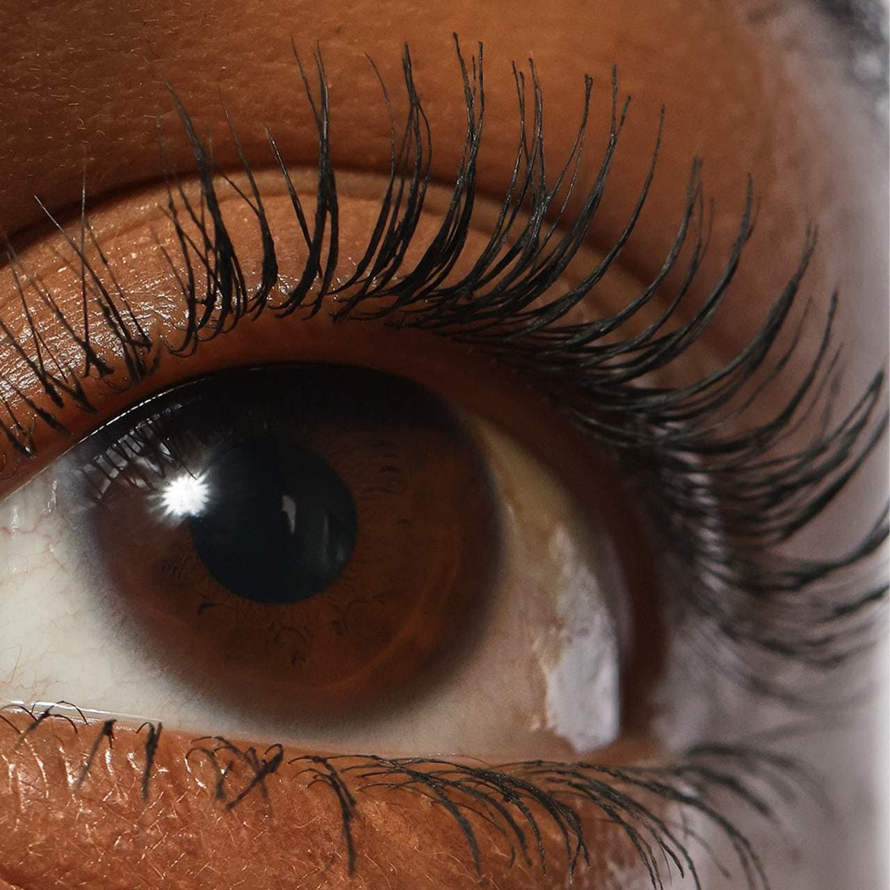 REFY Lash Sculpt купить в Beauty Storage. Быстрая доставка по России и СНГ.