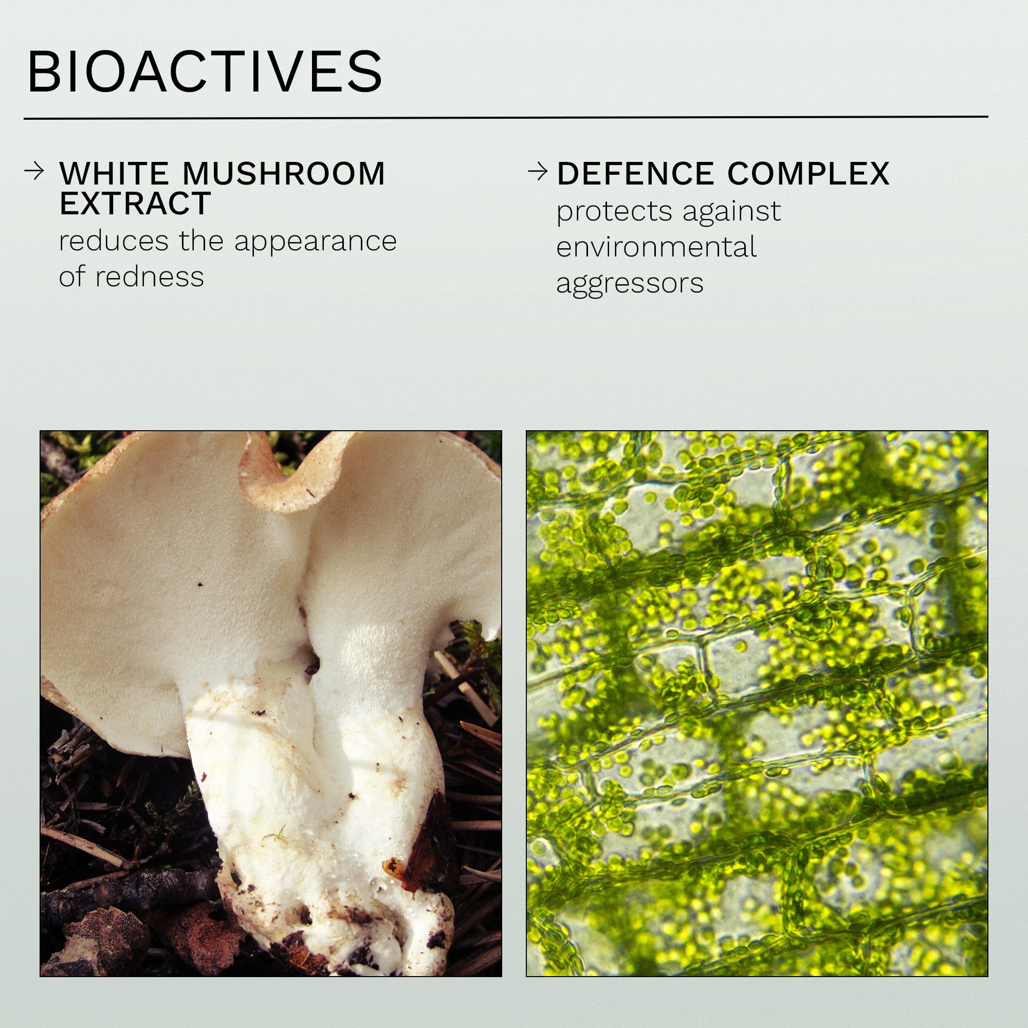 REN CLEAN SKINCARE Evercalm™ Redness Relief Serum купить в Beauty Storage. Быстрая доставка по России и СНГ.