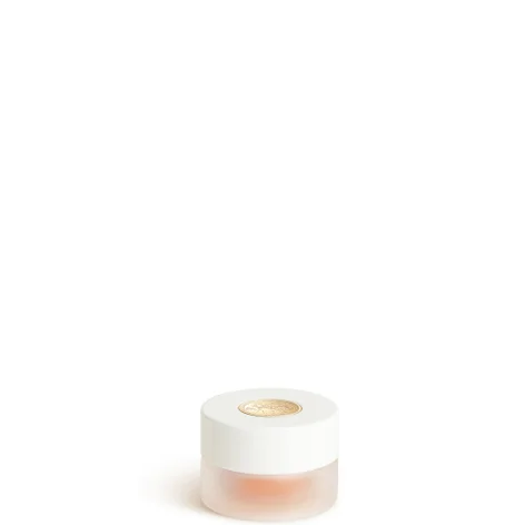 Купить HERMÈS Rouge Hermès Repairing Lip Mask на Beautystorage.ru. Быстрая доставка по России и СНГ.