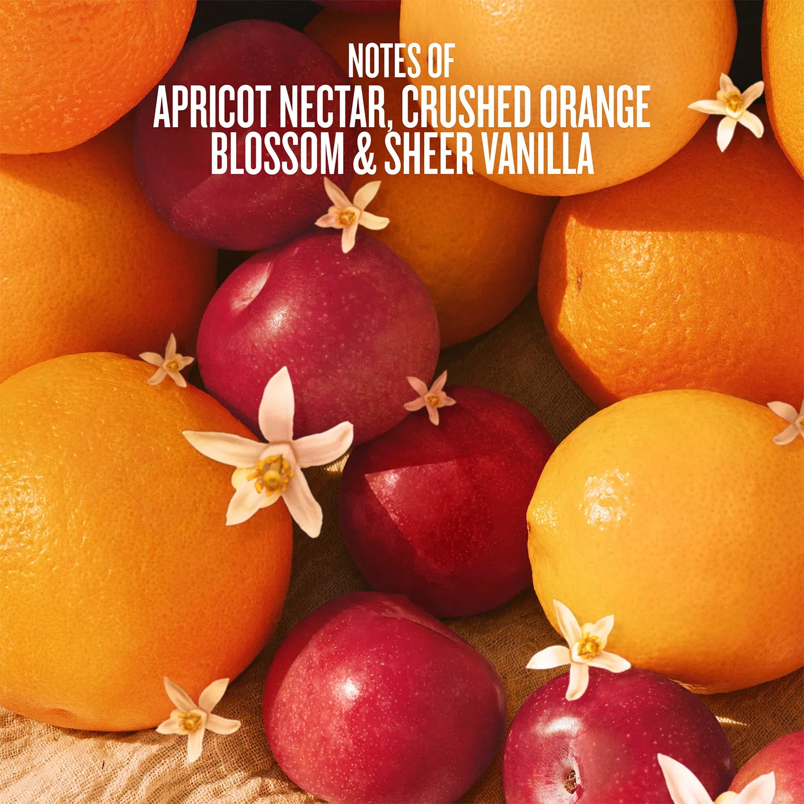 Купить SOL DE JANEIRO Cheeky Biquíni Perfume Mist | Limited Edition на Beautystorage.ru. Быстрая доставка по России и СНГ.