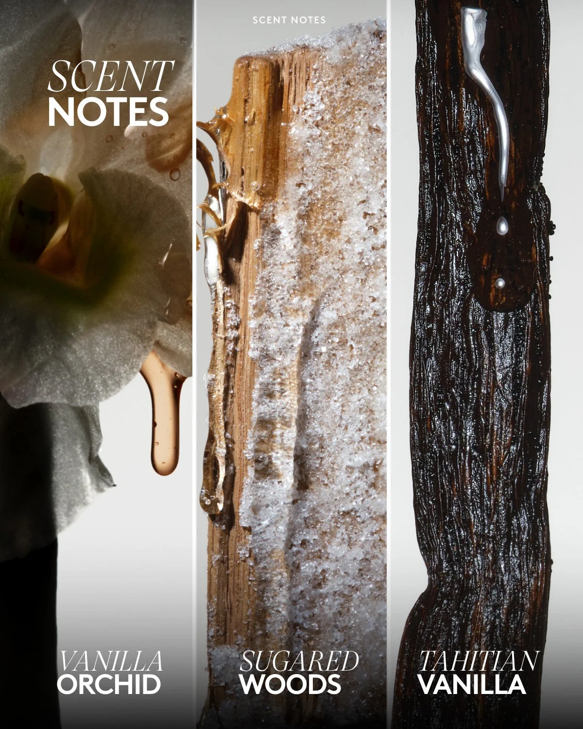 Купить FENTY SKIN Allover Body Mist на Beautystorage.ru. Быстрая доставка по России и СНГ.
