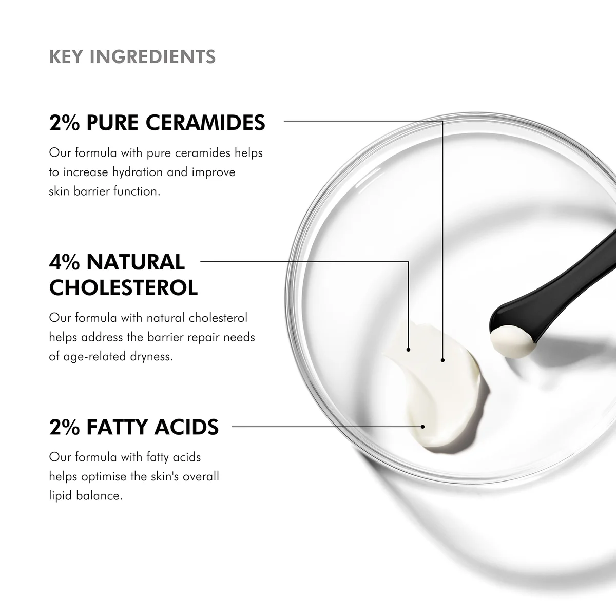 Купить SKINCEUTICALS Triple Lipid Restore 2:4:2 Anti-Ageing Cream for Dry Skin на Beautystorage.ru. Быстрая доставка по России и СНГ.