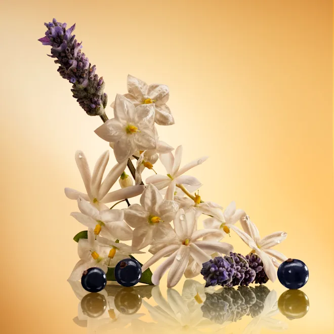 CHARLOTTE TILBURY Star Confidence Eau de Parfum купить в Beauty Storage. Быстрая доставка по России и СНГ.