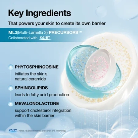 Купить ANUA Barrier Reboot Water Gel Cream на Beautystorage.ru. Быстрая доставка по России и СНГ.