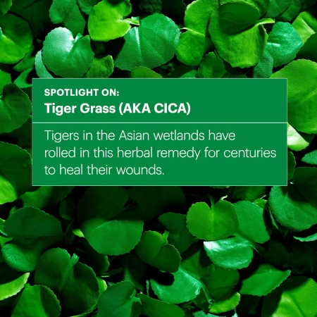 DR. JART+ Cicapair™ Tiger Grass Color Correcting Treatment SPF 30 купить в Beauty Storage. Быстрая доставка по России и СНГ.
