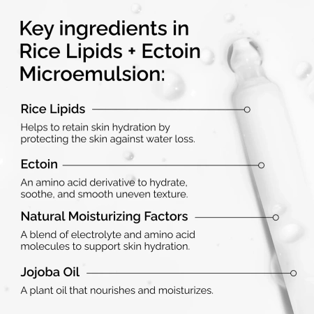 Купить THE ORDINARY Rice Lipids + Ectoin Microemulsion Ultra-Light Moisturiser на Beautystorage.ru. Быстрая доставка по России и СНГ.