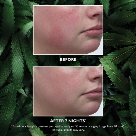 PETER THOMAS ROTH Green Releaf Therapeutic Sleep Cream