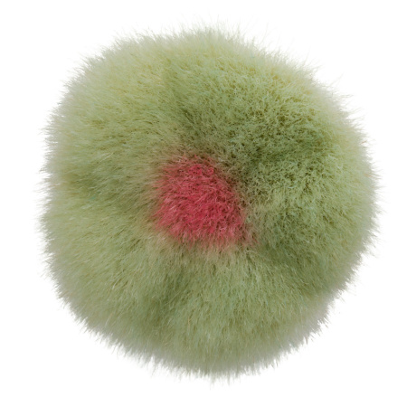 KOYUDO Innovative Series F005 PowderBlush Brush - Green