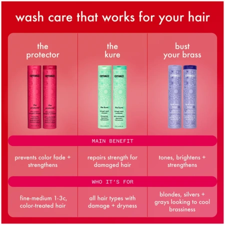 Купить AMIKA The Protector Color Protect + Strengthen Shampoo на Beautystorage.ru. Быстрая доставка по России и СНГ.