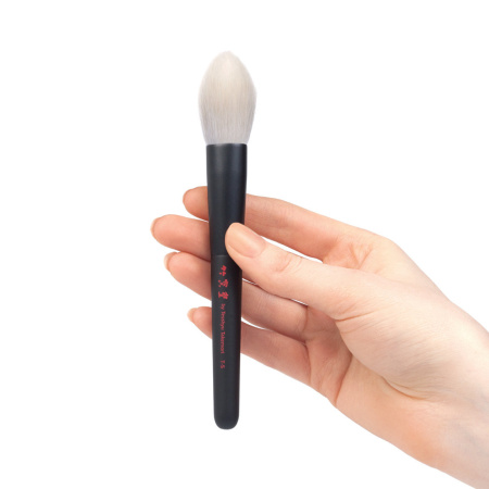 CHIKUHODO Takumi Series T-5 Highlight купить в Beauty Storage. Быстрая доставка по России и СНГ.