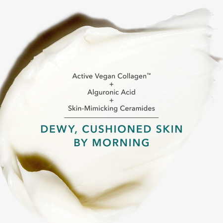 ALGENIST GENIUS Sleeping Collagen купить в Beauty Storage. Быстрая доставка по России и СНГ.