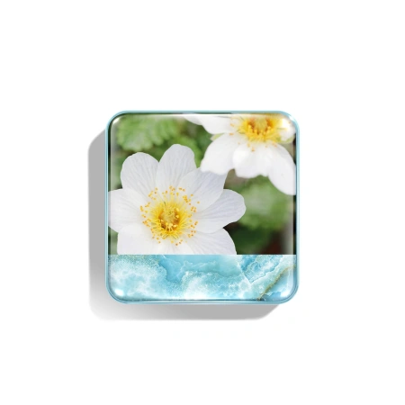 CHANTECAILLE Wild Meadows Blush купить в Beauty Storage. Быстрая доставка по России и СНГ.