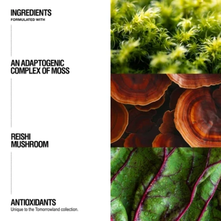 Купить GROWN ALCHEMIST + Tomorrowland: Hand + Body Lotion на Beautystorage.ru. Быстрая доставка по России и СНГ.