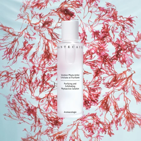 CHANTECAILLE Purifying and Exfoliating Phytoactive Solution купить в Beauty Storage. Быстрая доставка по России и СНГ.
