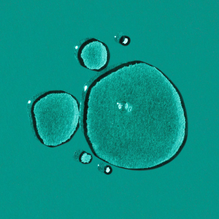 JOSIE MARAN Skin Dope Argan Oil + 100 mg CBD