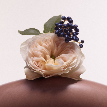 Купить ROSE INC Resurfacing & Balancing Body Polish на Beautystorage.ru. Быстрая доставка по России и СНГ.