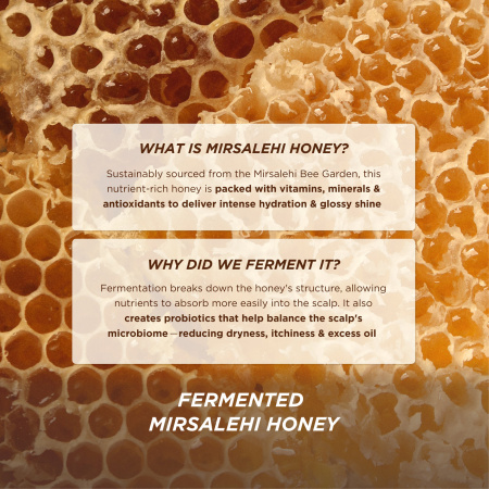 GISOU Honey Gloss Hair Wash Duo купить в Beauty Storage. Быстрая доставка по России и СНГ.