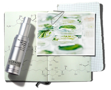 ALGENIST Pore Corrector Anti-Aging Primer купить в Beauty Storage. Быстрая доставка по России и СНГ.