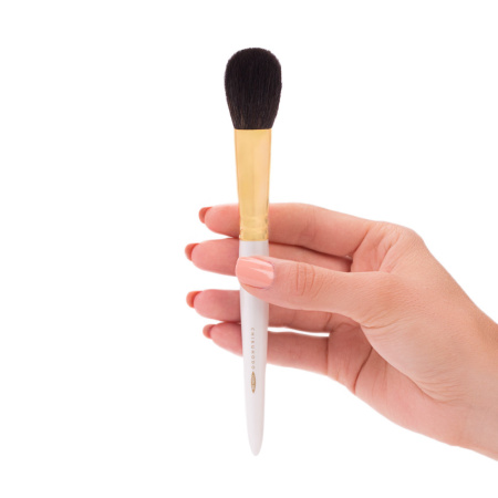 CHIKUHODO GSN Series GSN-4 Highlight купить в Beauty Storage. Быстрая доставка по России и СНГ.