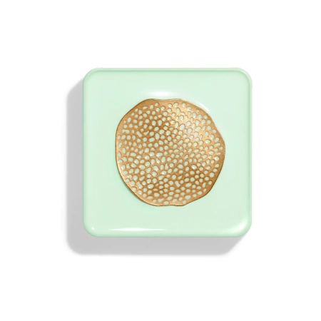 CHANTECAILLE Lotus Radiance Highlighter купить в Beauty Storage. Быстрая доставка по России и СНГ.
