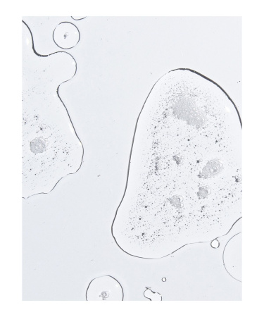 KOPARI BEAUTY Sudsy Shower Oil купить в Beauty Storage. Быстрая доставка по России и СНГ.