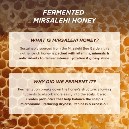 GISOU Honey Gloss Ceramide Therapy Hydrating Conditioner купить в Beauty Storage. Быстрая доставка по России и СНГ.