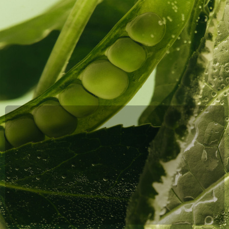 Купить YOUTH TO THE PEOPLE Superfood Retinol & Collagen Plant Protein Balm на Beautystorage.ru. Быстрая доставка по России и СНГ.